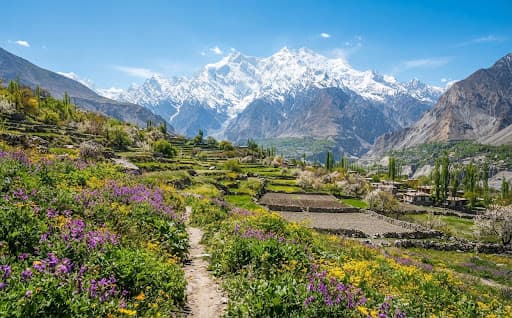 High slopes and wild flowers above the Hunza valley